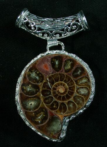 Fossil Ammonite Pendant - Million Years Old #8077